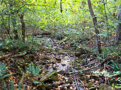 Creek