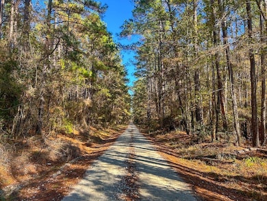 Forest Service Road 527, Apple Springs, TX 75926 - photo 5