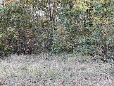 3551 Moonlight Rd, Barnwell, SC 29853 - photo 5