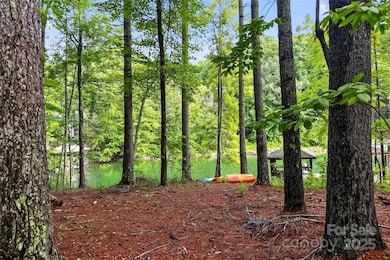 2361 Lake Forest Cove unit 13, Nebo, NC 28761 - photo 4