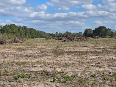 Tbd Rue Novembre Rd, Scott, LA 70583 - photo 5