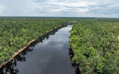 TBD 114th Cir, Dowling Park, FL 32060 - photo 3