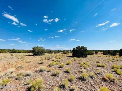 4752 Lasso Loop Photo 19