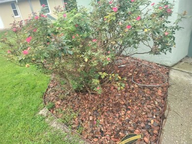 9249 N Citrus Springs Blvd, Citrus Springs, FL 34433 - photo 4