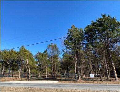 1768 Gordonville Rd, Gordonville, TX 76245 - photo 4