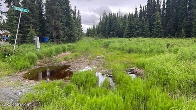 unmaintained road