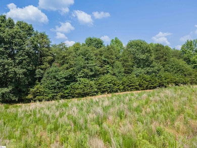 0 Cooley Springs Shchool Rd unit 1560360, Chesnee, SC 29323 - photo 3