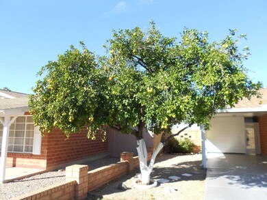 DSCN0082