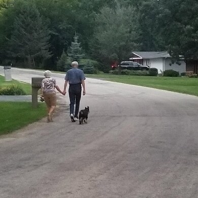 2350 Butternut Bend, Lake Summerset, IL 61019 - photo 6