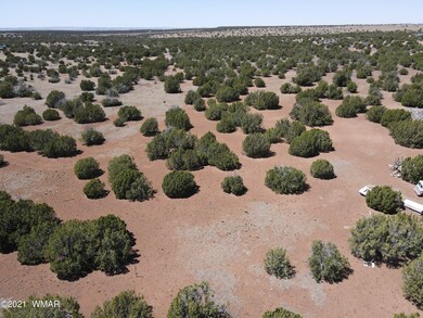 DJI_0136