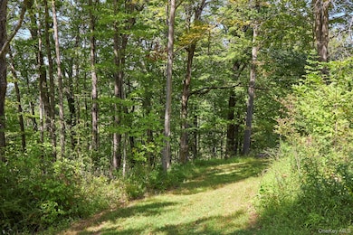 0 Mill Rd unit KEY912345, Rhinebeck, NY 12572 - photo 7