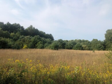 IMG_0652
