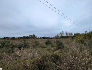 N/A Court St, Au Gres, MI 48703 - photo 5