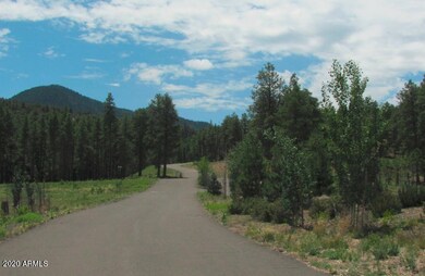 Gorgeous drive through community