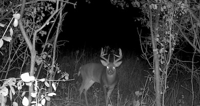 0 E Burns Valley Rd unit 1933975, Wilson, MN 55987 - photo 6