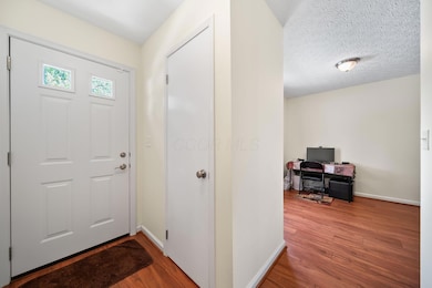 15-web-or-mls-DSC03954