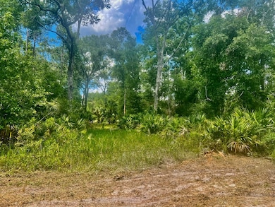 0 SW 50th Ln, Cross City, FL 32628 - photo 7