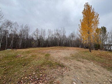 View of yard featuring a view of trees