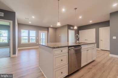 46320 Mount Milstead Terrace unit 402, Sterling, VA 20164 - photo 4