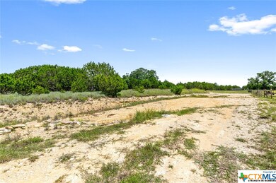 10.131 acres Hawk Ln, Kempner, TX 76539 - photo 6