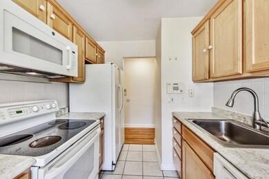 820 Seward St unit 2F, Evanston, IL 60202 - photo 7