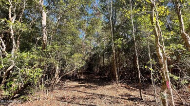 0 Old Hwy 49 unit 4128354, Saucier, MS 39574 - photo 5