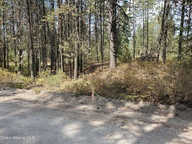 NNA Booker Rd, Athol, ID 83801 - photo 5