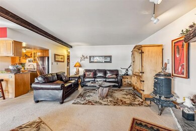 244 Lodgepole St unit 11, Dillon, CO 80435 - photo 5