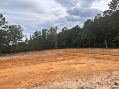 3084 E Main St, Cabot, AR 72023 - photo 4