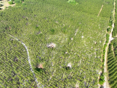 0 Ralph Davis Rd, Folkston, GA 31537 - photo 7