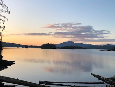 0 Legal Address Only unit Lot 14A Fairbanks Su, Thorne Bay, AK 99919 - photo 2