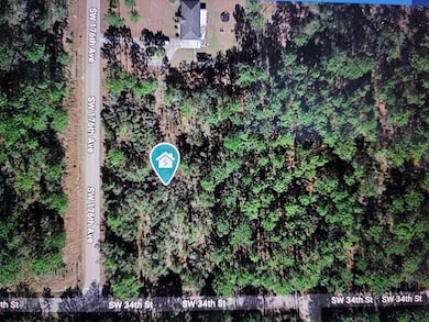 0 SW 34th St, Dunnellon, FL 34432 - photo 2