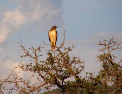 E2 68 E Tom Jeffords unit LOT 68, St. David, AZ 85630 - photo 4