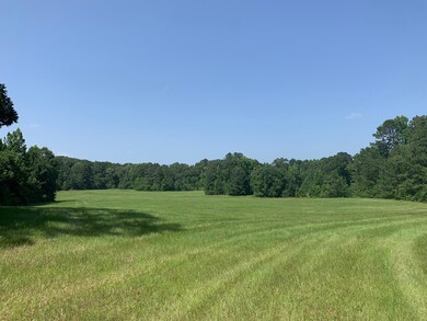 00 Dorsey Rd, Milam, TX 75959 - photo 5