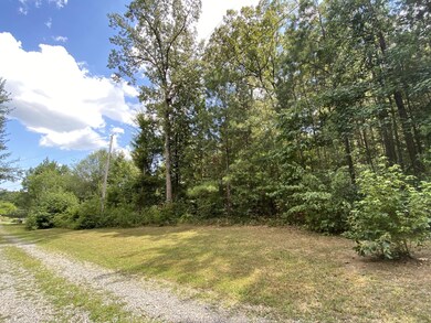 510 Arabian Dr, 49ae3845-A517-4f0c-a930-657692e5efd8, GA 30755 - photo 5