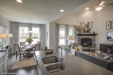 3811 Fawn Meadow Trail, Denison, TX 75020 - photo 5