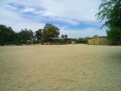 Arena