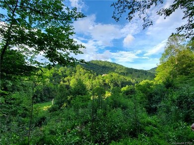 512 Langford Branch Rd, Cane River, NC 28714 - photo 5