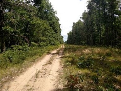 VL Gas Line Rd, Baldwin, MI 49304 - photo 7