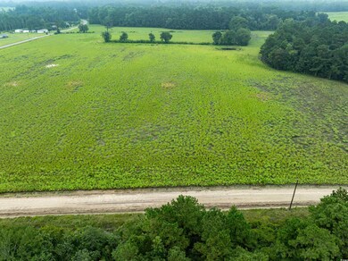 TBD LOT 3 Tansy Rd, Loris, SC 29569 - photo 2