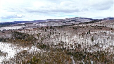 MS0081 Rd, Concord Township, ME 04920 - photo 3