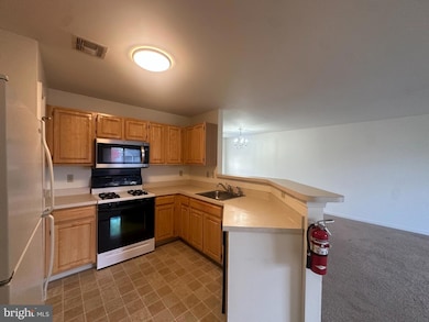 211 Sparrow Rd, Hummelstown, PA 17036 - photo 6