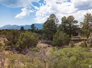 View of mountain backdrop
