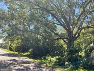 0 Wheeler St unit 10597452, St. Marys, GA 31558 - photo 2