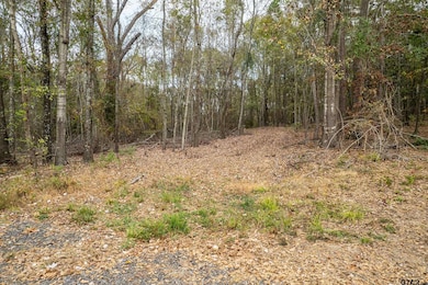 2815 Fm 346, Tyler, TX 75703 - photo 4