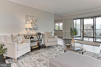 5901 Mount Eagle Dr unit 818, Alexandria, VA 22303 - photo 7