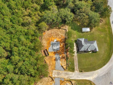 227 Welsh Trail, Macon, GA 31216 - photo 4