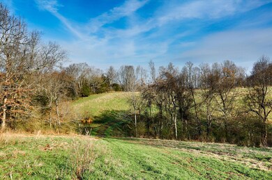 728 Petty Hollow Rd, Prospect, TN 38477 - photo 3