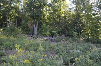 Lot 6 Bradway Rd, Monson, MA 01057 - photo 6