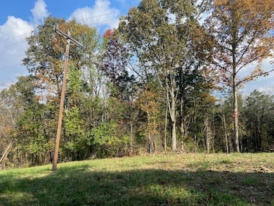 881 Galbraith Rd, Brooksville, KY 41004 - photo 3